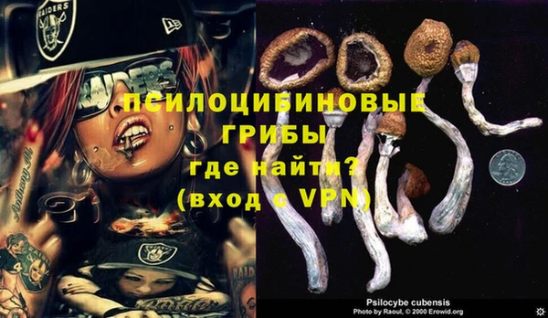 каннабис Аркадак