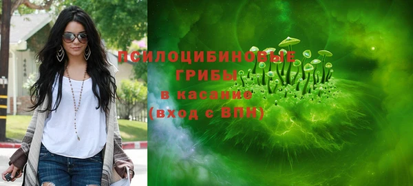 дмт Армянск