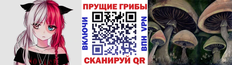 Галлюциногенные грибы Psilocybe  магазин  наркотиков  omg онион  Морозовск 